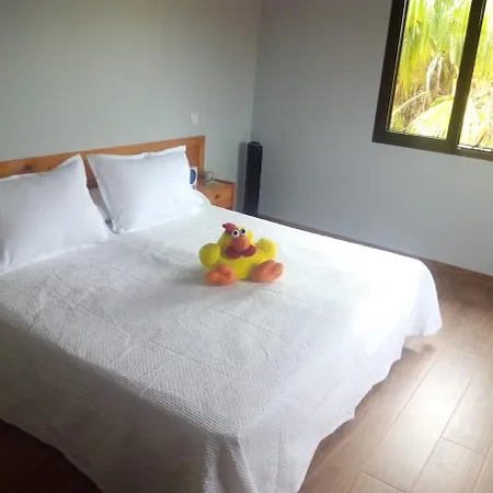 Beautiful For 4 People In 公寓 Parque Holandes